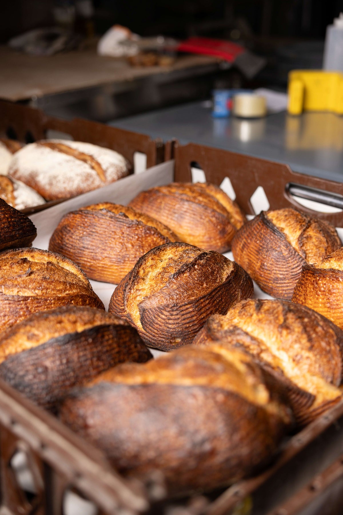 Sourdough Slow Ferment